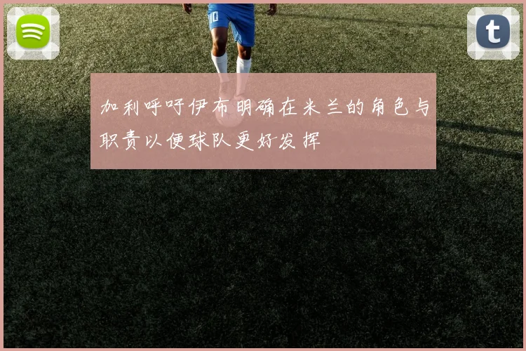 加利呼吁伊布明确在米兰的角色与职责以便球队更好发挥
