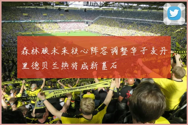 森林狼未来核心阵容调整华子麦丹里德贝兰热将成新基石
